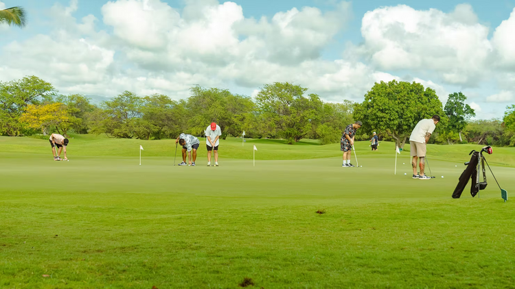 Fairway Fox 31: Hawaii