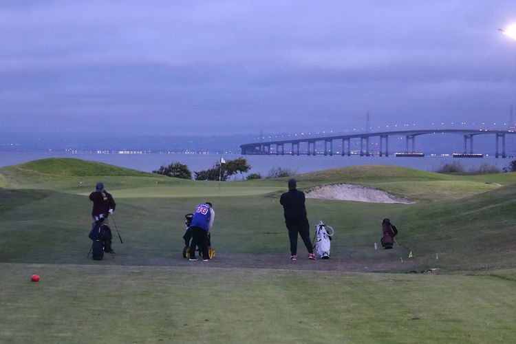 Fairway Fox 10
